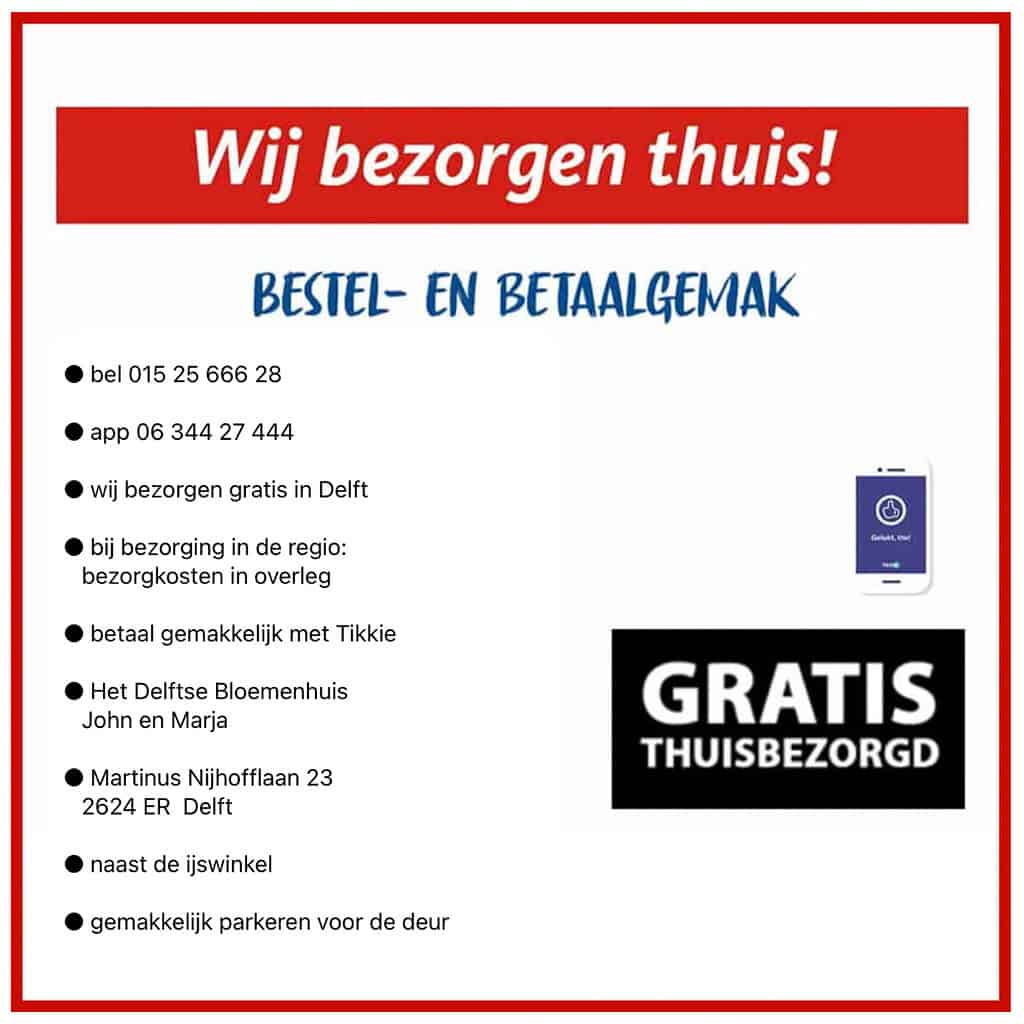 created by photogrid